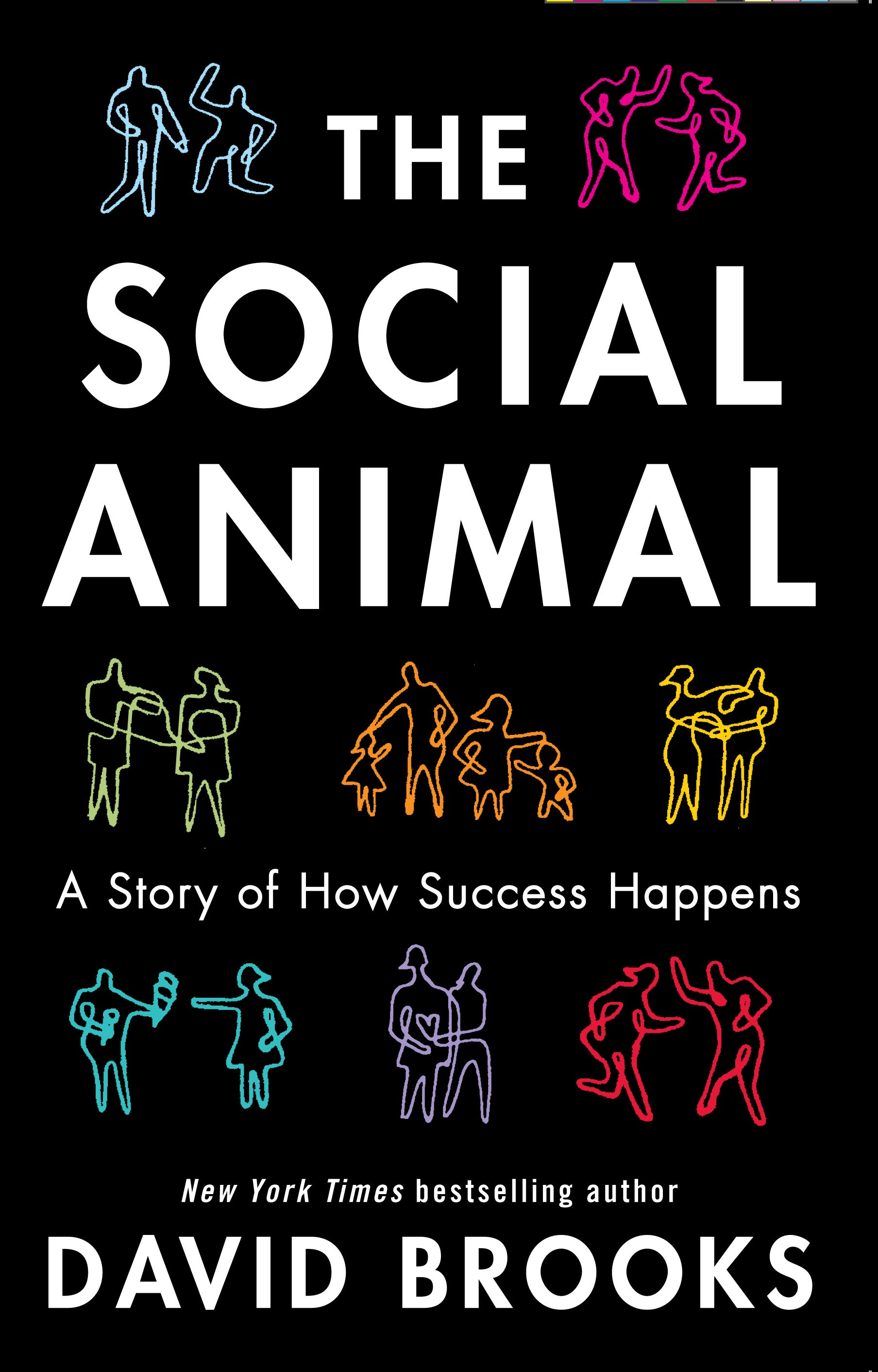 The Social Animal: A Story of How Success Happens by David Brooks | Old